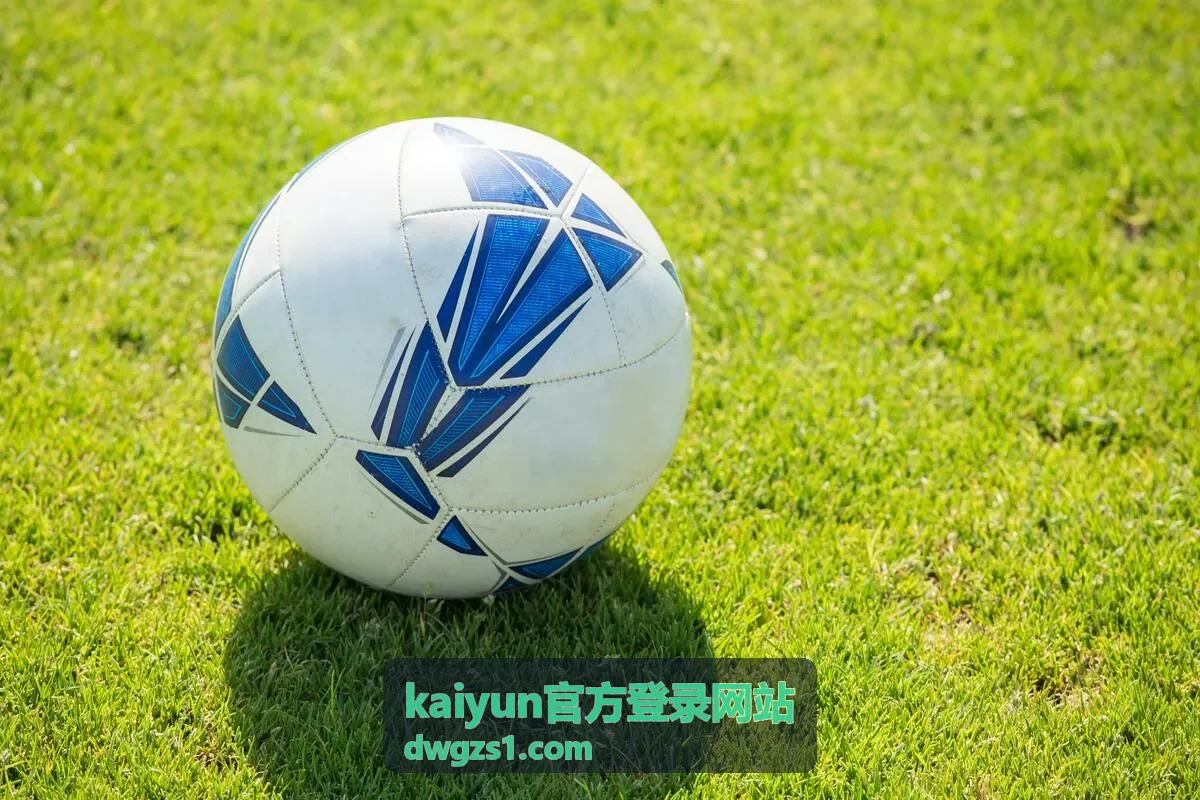 kaiyun官方登录网站登录入口指引：点击入口后跳转等待过程示意